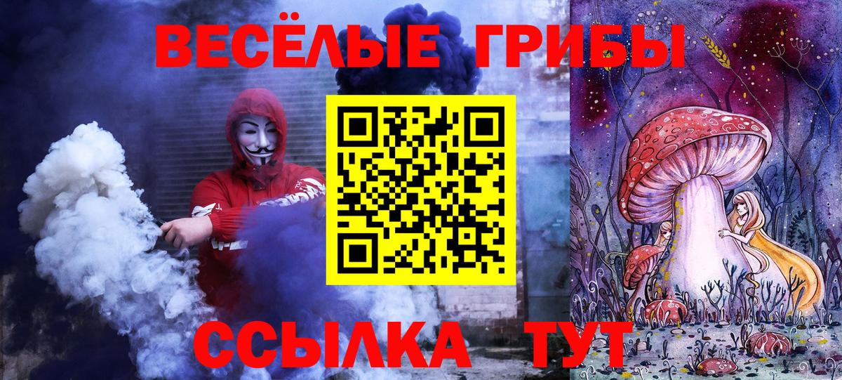 Галлюциногенные грибы мухоморы Сыктывкар