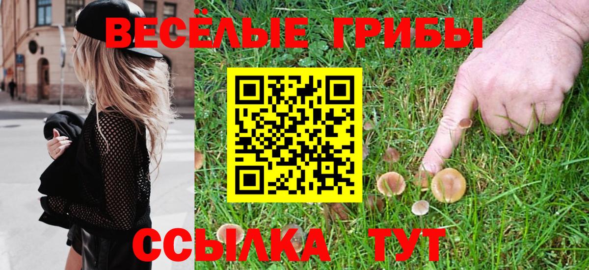 наркошоп  Псилоцибиновые грибы Psilocybe  Вход с VPN  Сыктывкар 