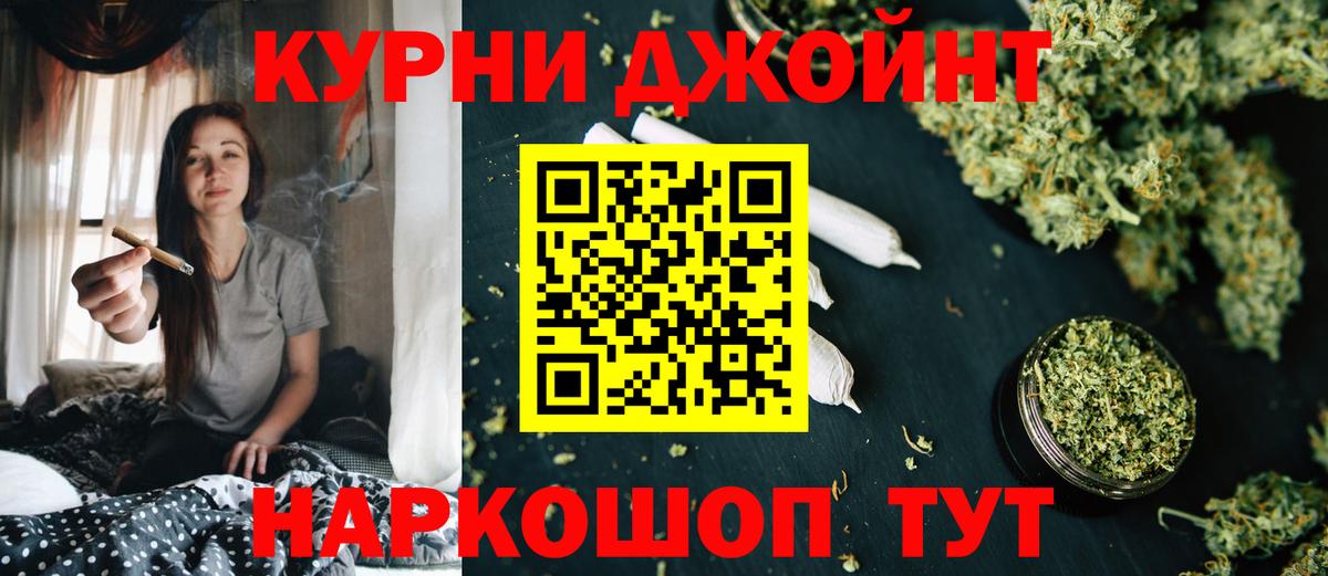 Конопля гибрид Сыктывкар