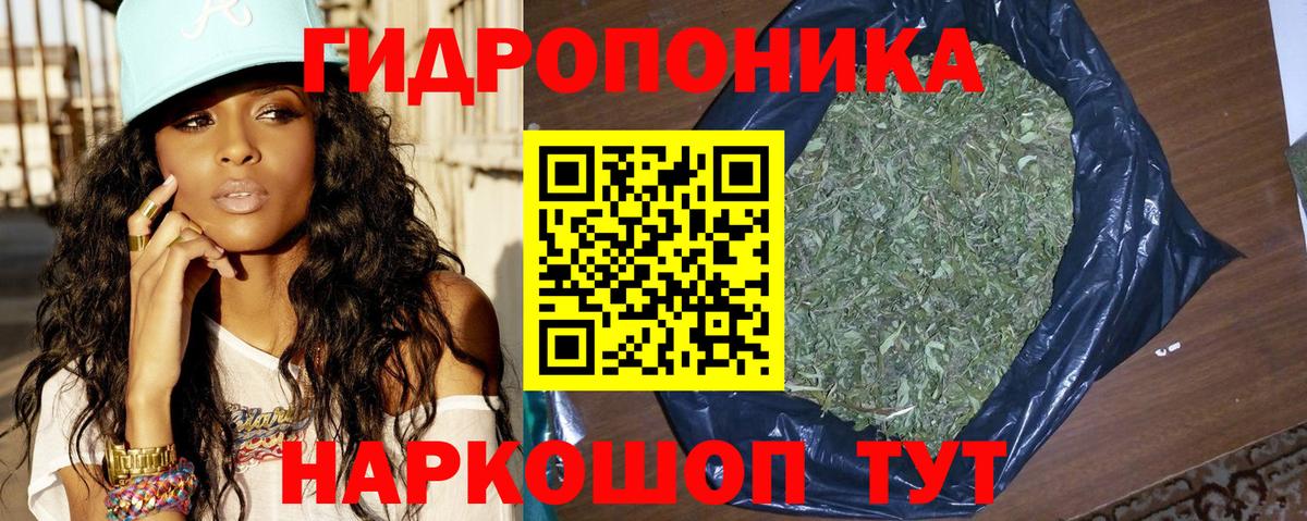 Бошки марихуана план  Бошки марихуана ГИДРОПОН  Шишки марихуана LSD WEED  Вход с VPN  Сыктывкар 